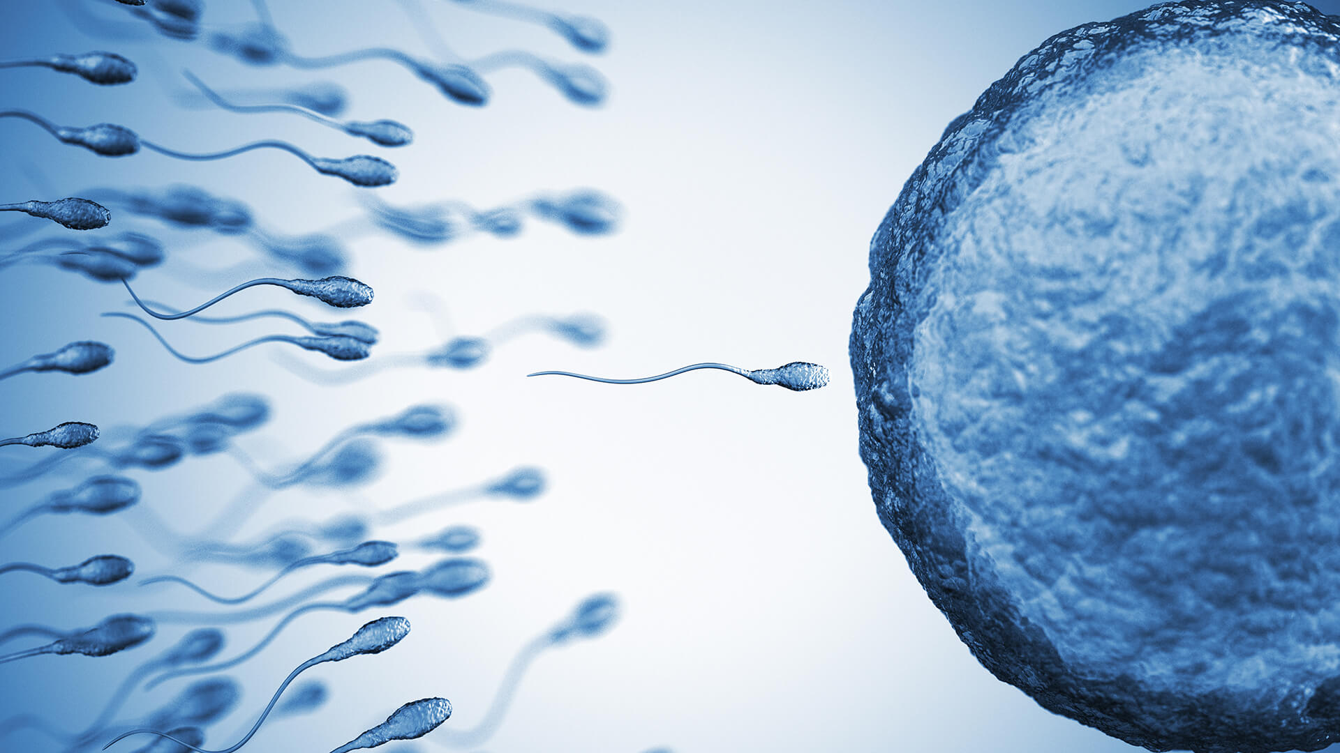 infertilitetsbehandling